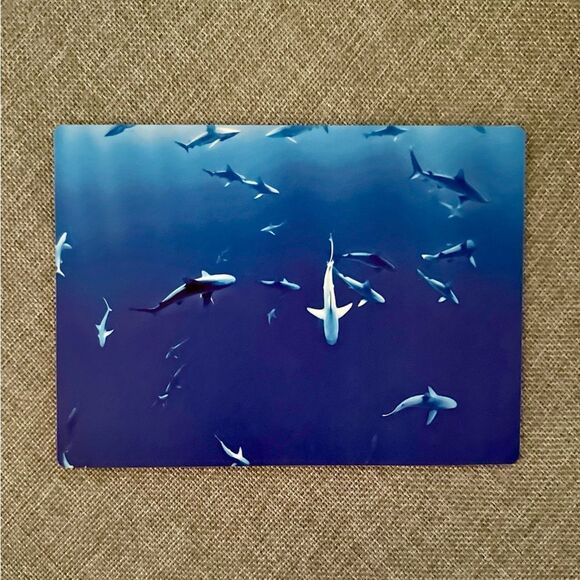 Blue Ocean Sharks Magnet - Picture 2 of 5